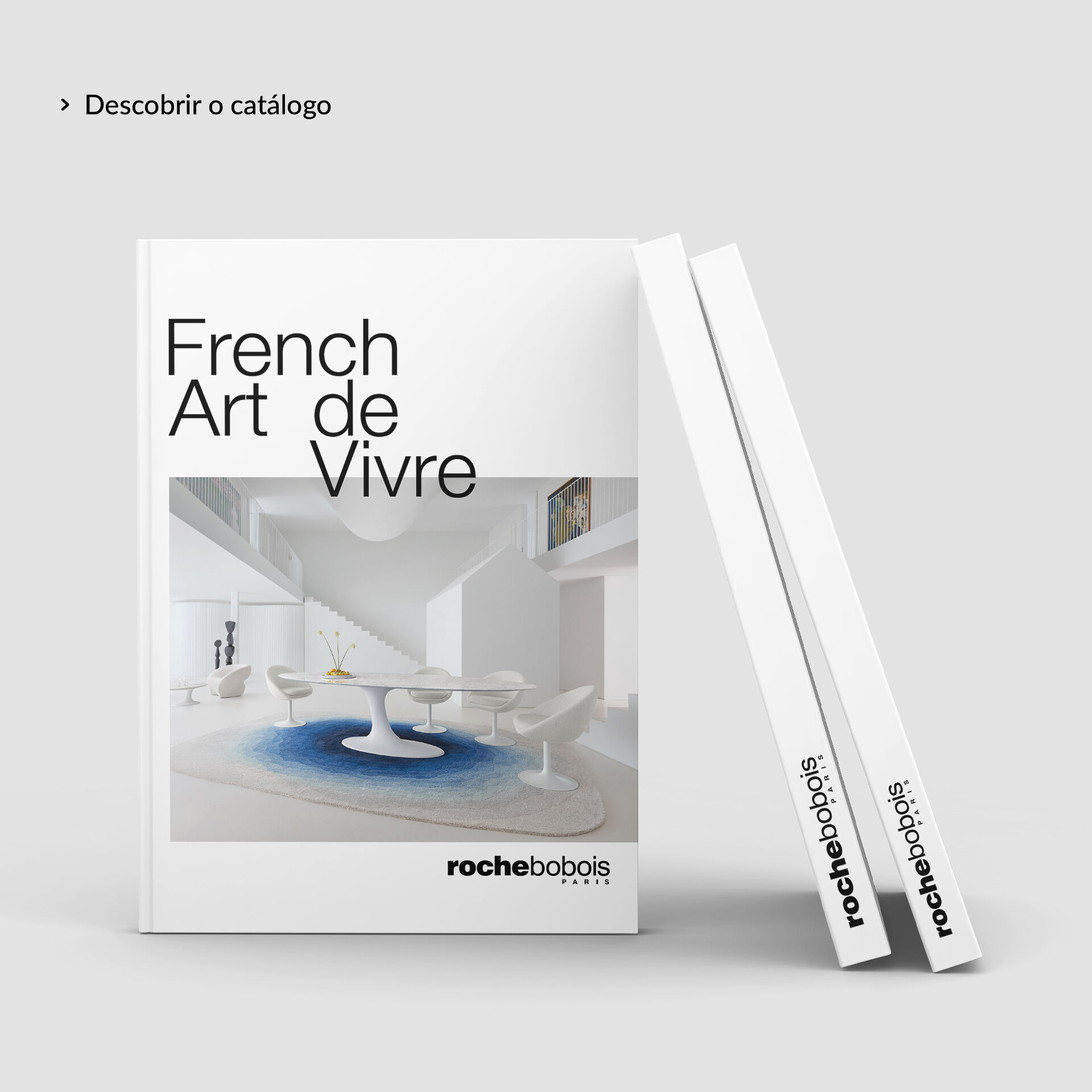 Cat&aacute;logo Roche Bobois - Descobrir o cat&aacute;logo