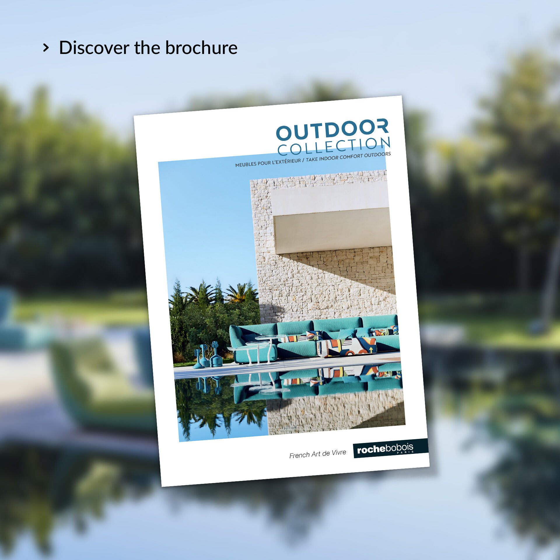 Discover the brochure