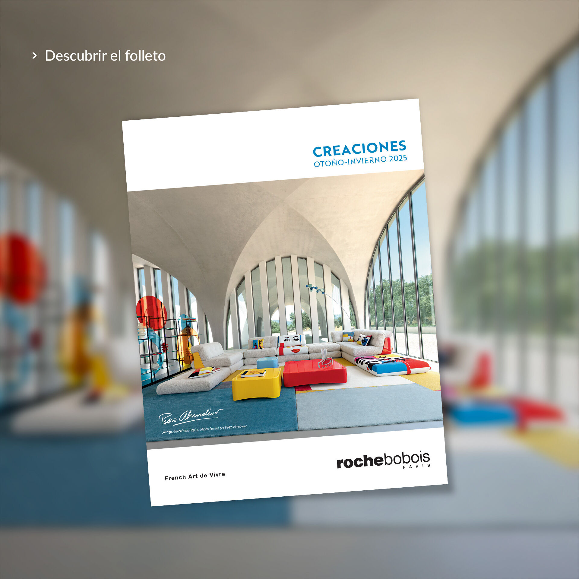 Creaciones Otoño-Invierno 2025 - Descubrir la selección