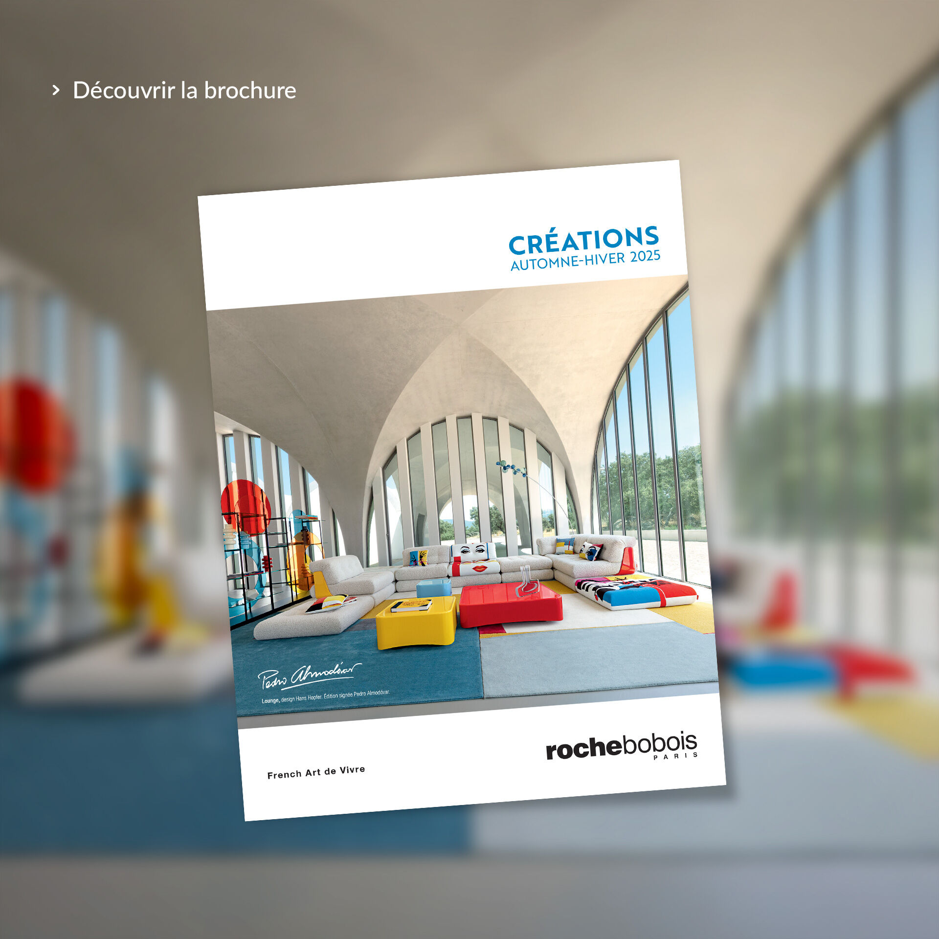 Créations Automne-Hiver 2025 - Découvrir la brochure