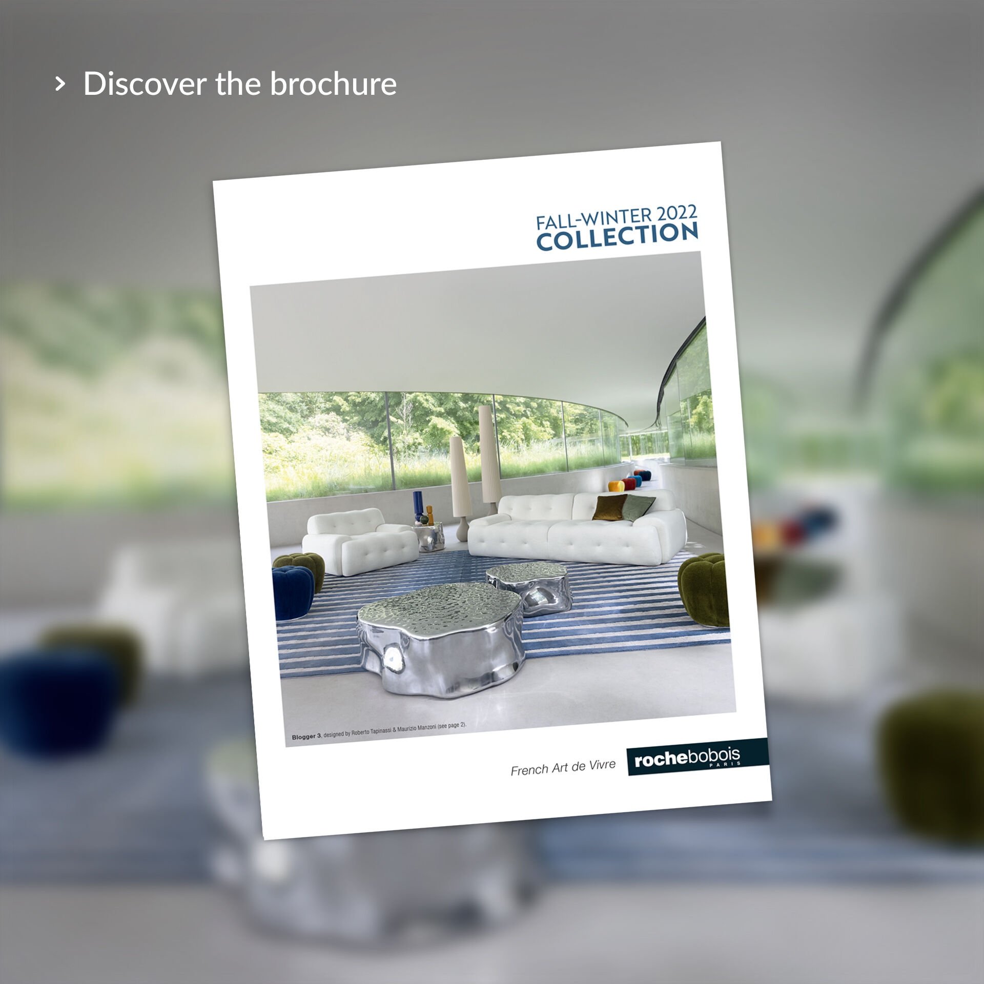 Discover the brochure