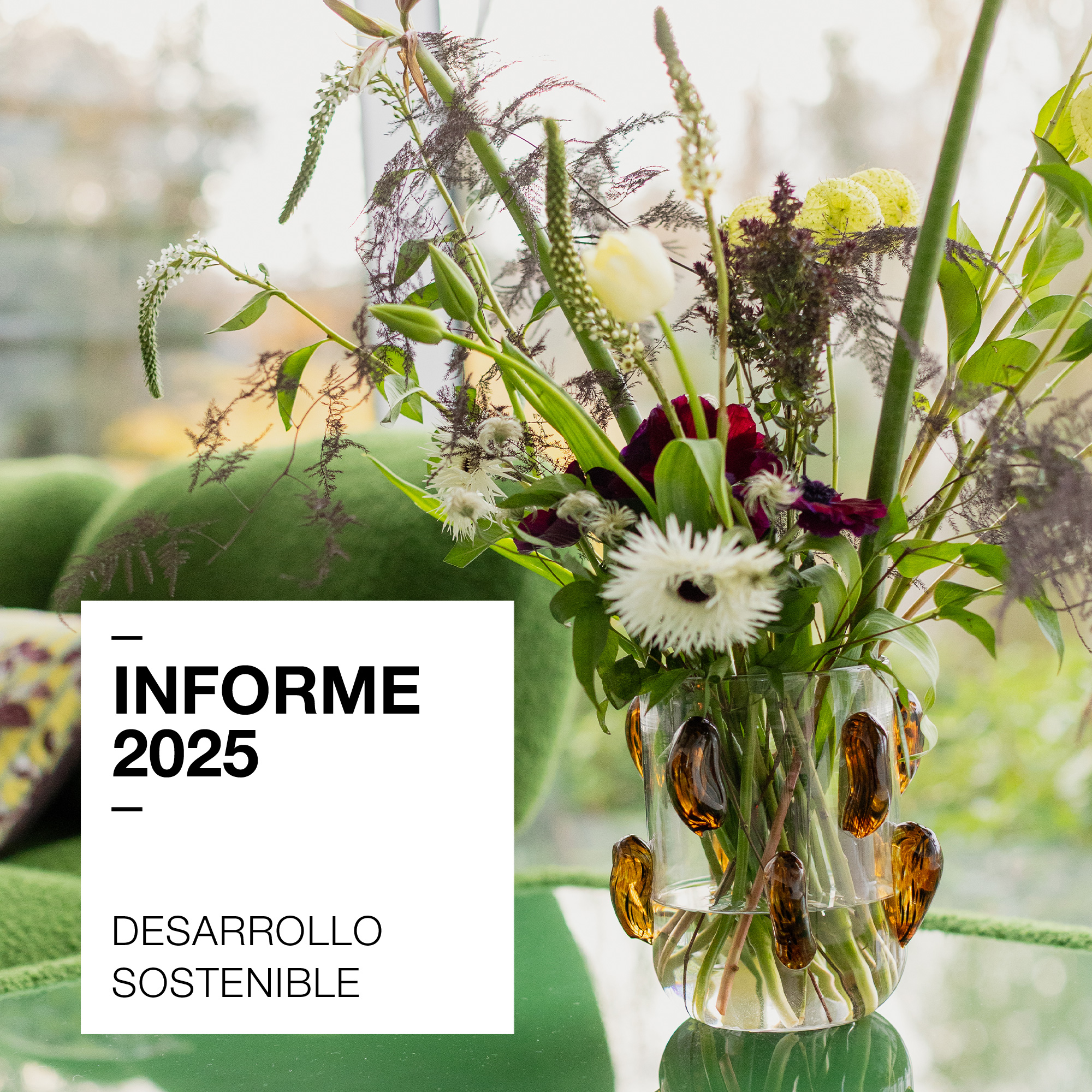 Informe de Desarrollo Sostenible 2025
