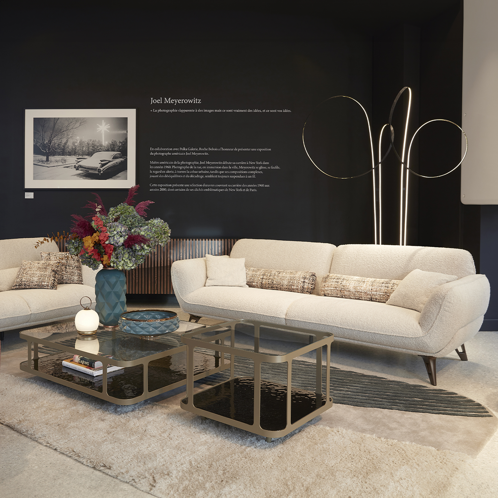 EXPOSITION JOEL MEYEROWITZ, PARIS