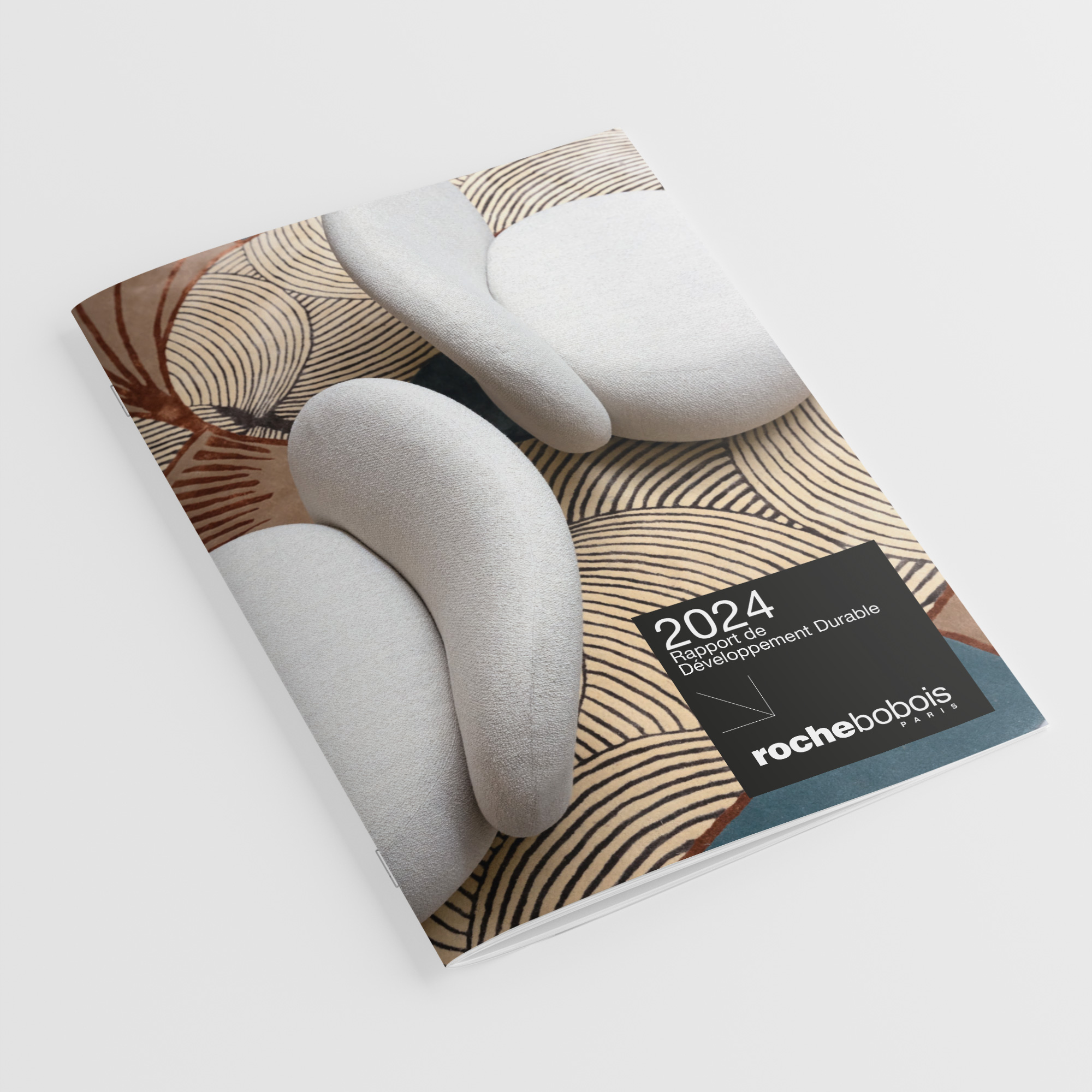 Rapport 2024 de D&eacute;veloppement Durable